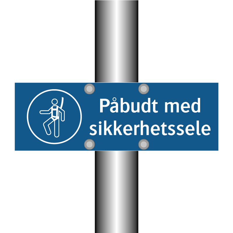 Påbudt med Sikkerhetssele